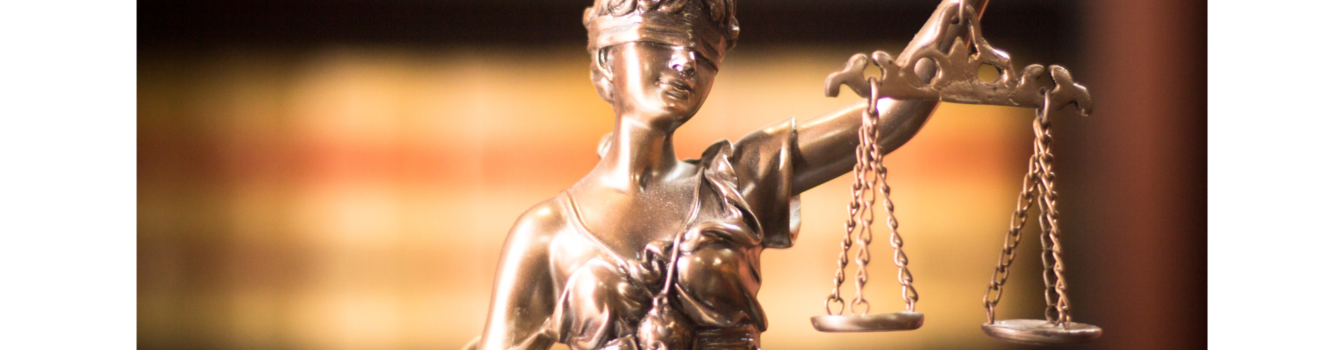 Advocate Economists and the Competition Appeal Tribunal