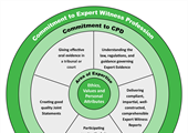 Core Competencies for Expert Witnesses