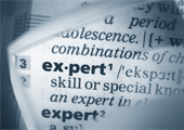 What is the protocol for the format of Single Joint Expert Statements?