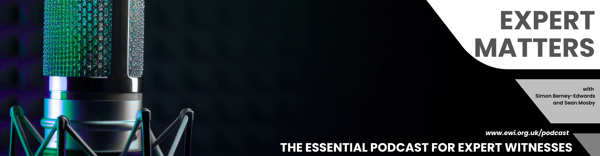 Podcast Episode 12: Expert Discussions and Joint Statements