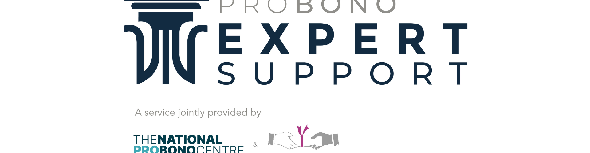 EWI partnership with the Pro Bono Expert Support Scheme