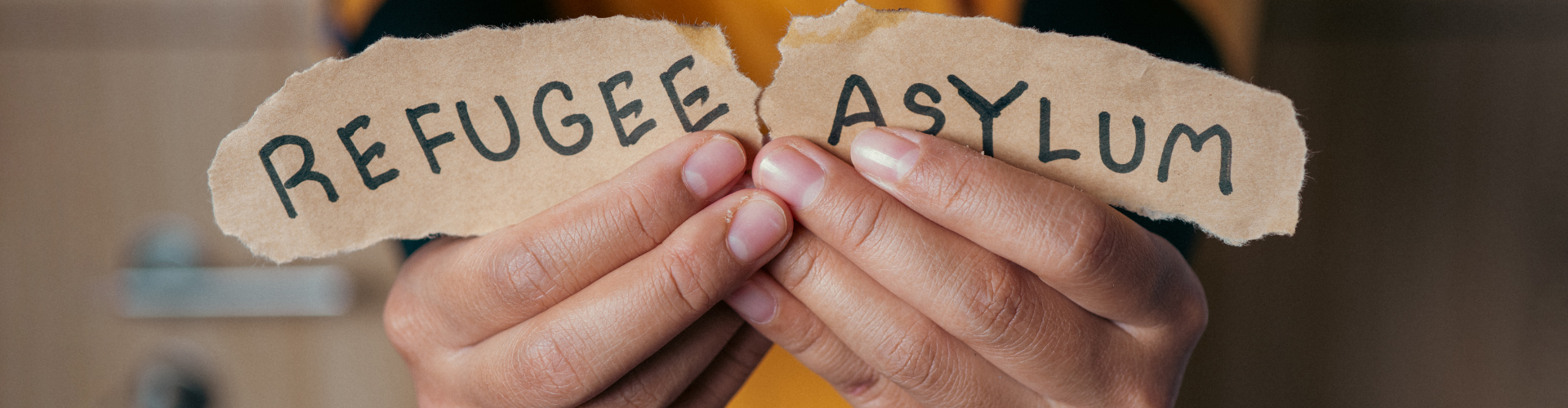 Without hesitation, I attach no weight whatsoever ….