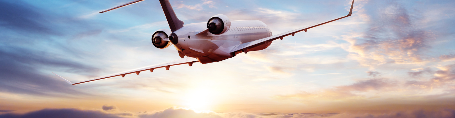 Working with Expert Witnesses in Aviation